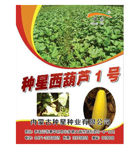 冰球突破游戏网站西葫芦1号